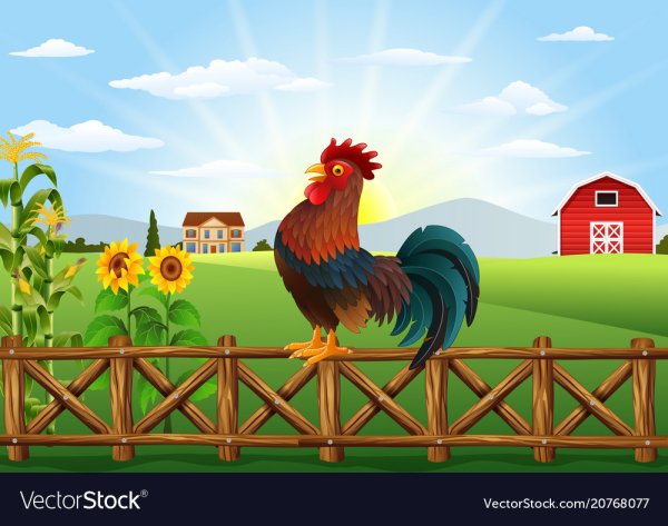 Сказка г. Цыферова «петушок и солнышко»