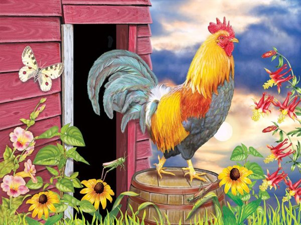 Доброе утро петушок