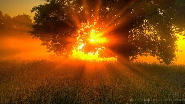 Солнце светит ярче и теплее