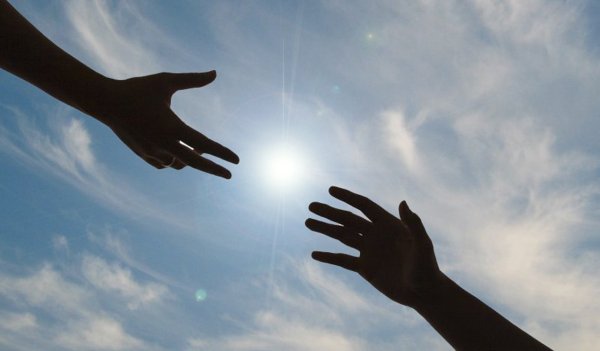 Тянет руки к солнцу