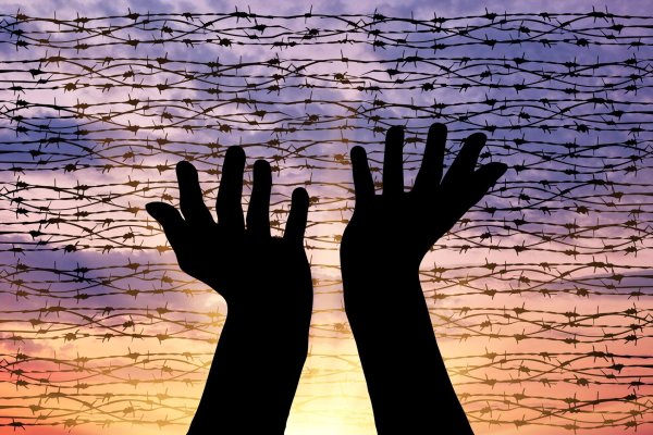 Небо на ладони