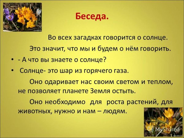 Солнце и жизнь на земле