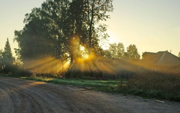 Солнце в деревне