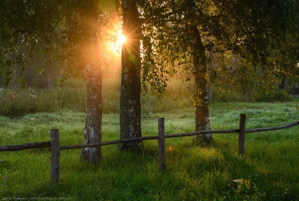 Природа деревня солнечно