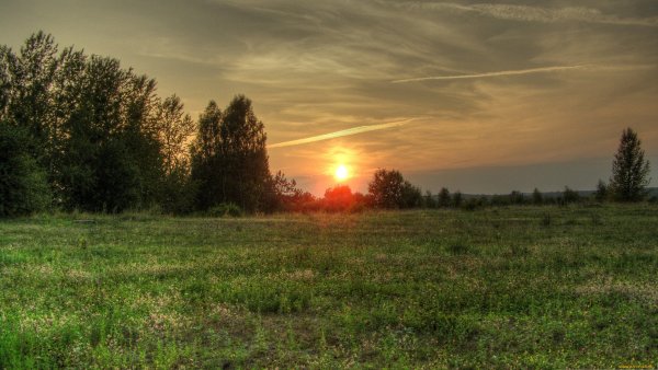 Поле в деревне закат