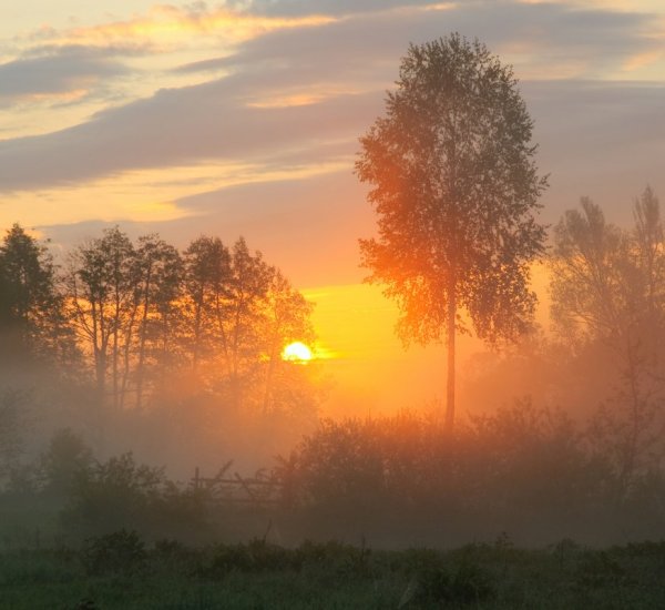 Туманное осеннее утро в деревне