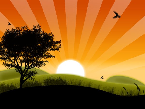 Даррелл Буш осенний закат