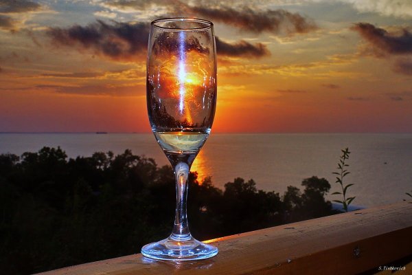 Солнце в бокале