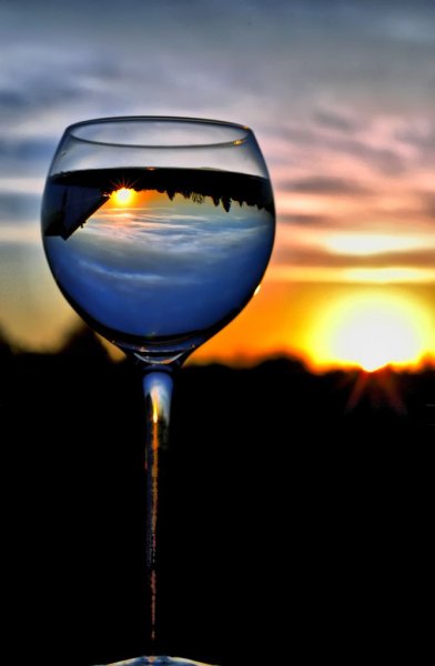 Лето в бокале