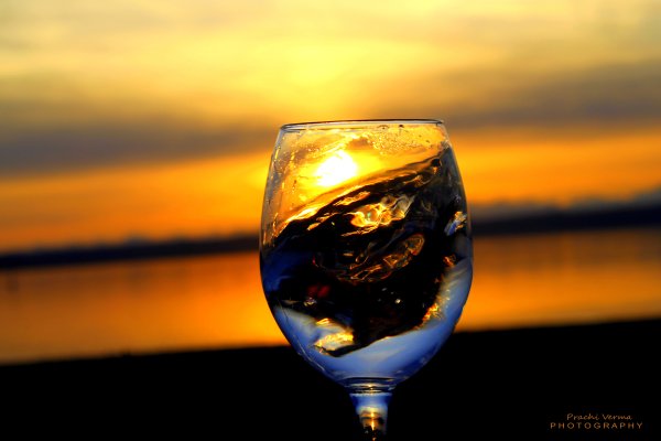 Виноградники вино море