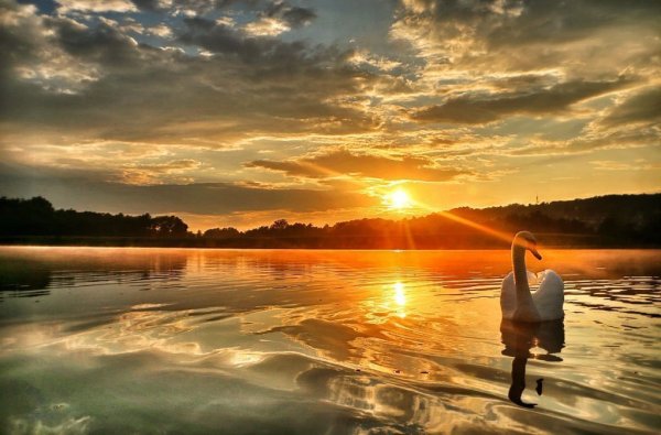 Встречать рассвет