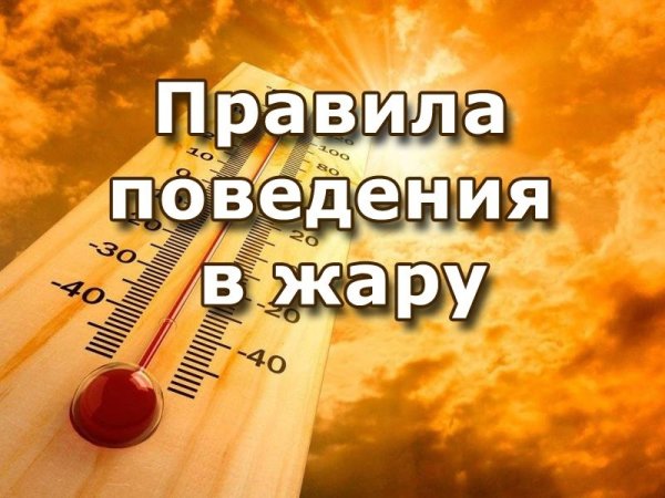 Правила поведения в жаркую погоду