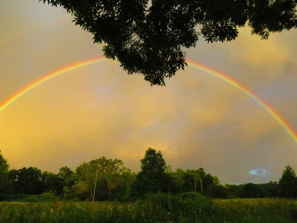 Радуга летом