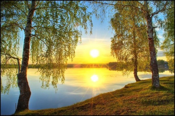 Природа река береза солнце