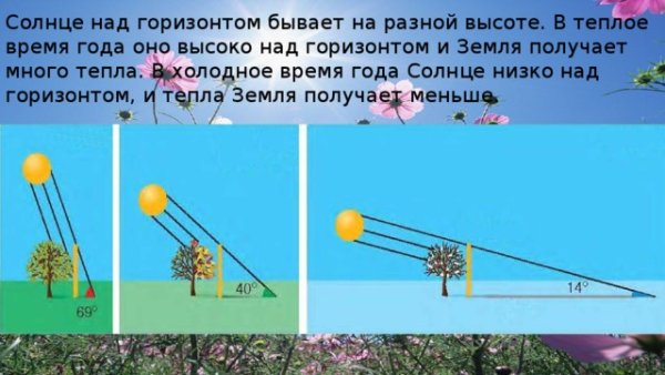 Диаметр солнца и земли