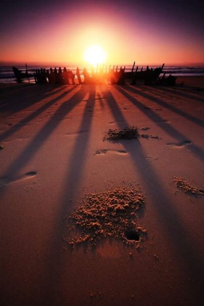 Чуковский корней "краденое солнце"