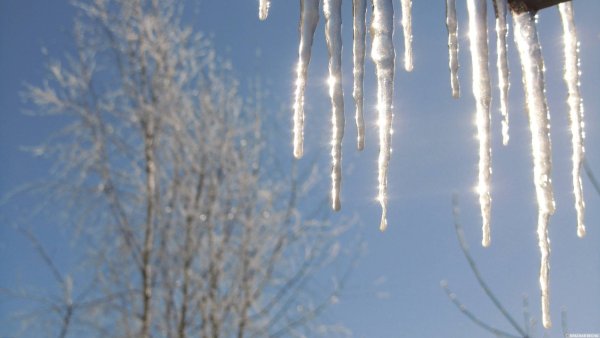 Весенняя капель