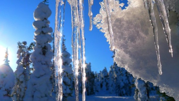 Ледяные сосульки