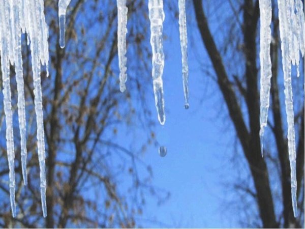 Сосульки капель