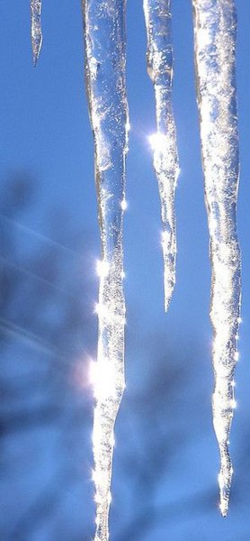 Потепление зимой