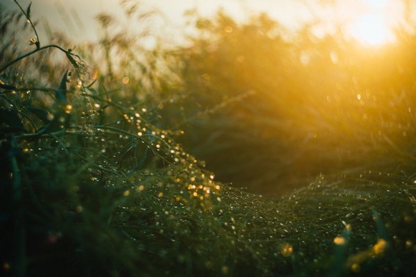 Дождь и солнце