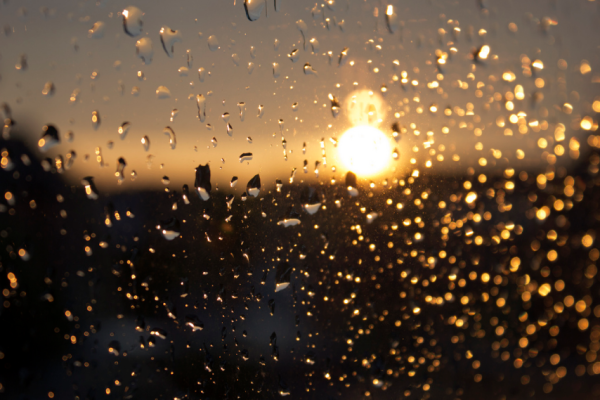 Дождь и солнце