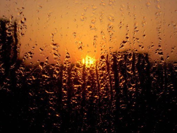 Солнце сквозь дождь