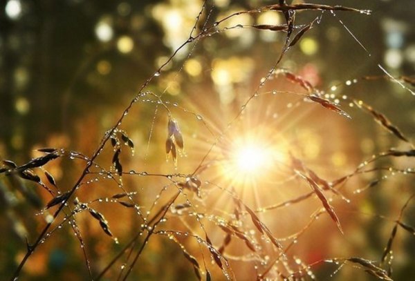 Солнце сквозь дождь