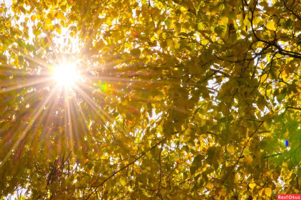 Дождик и солнце