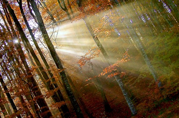 Солнце после дождя