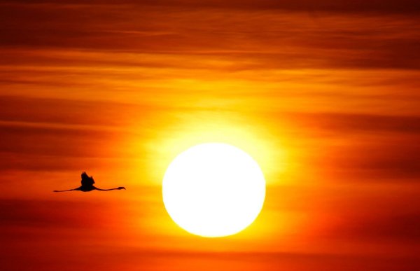 Солнце восходит на востоке