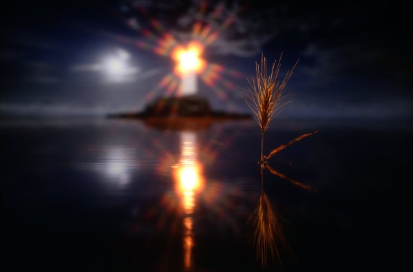 Солнце во тьме