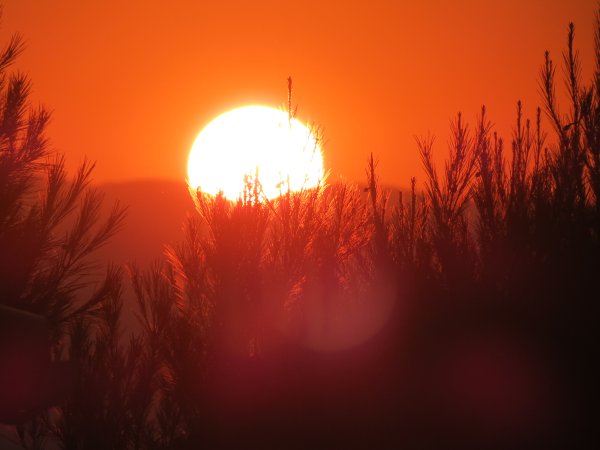 Закат солнца вручную