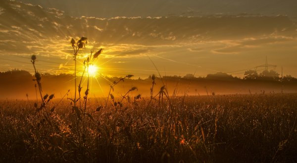 Солнышко встает