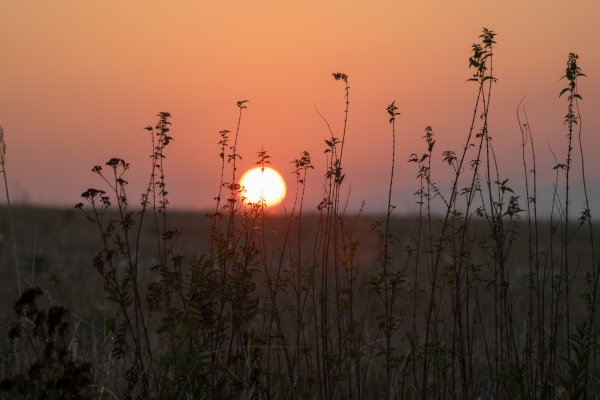 Солнце на востоке картинка