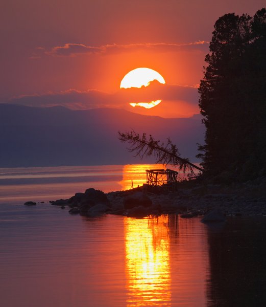 Адлер Восход