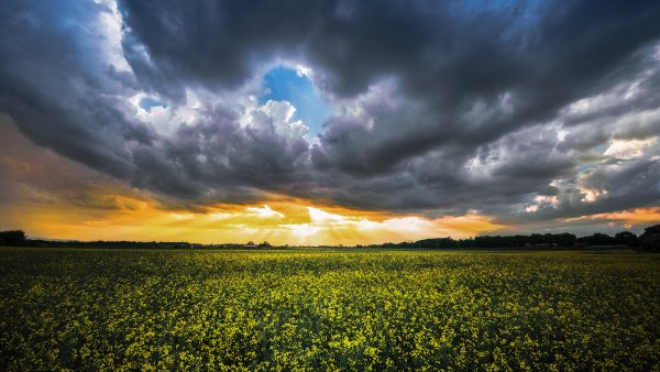 Лето поле тучи