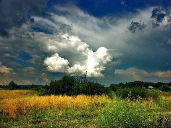 Природа перед грозой