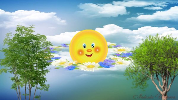 Выглянуло солнышко