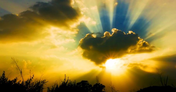 Весеннее солнышко