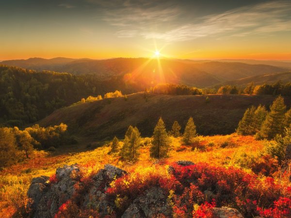 Солнечная осень