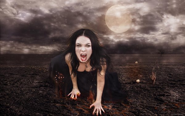 Сумерки сага Белла и Эдвард любовь