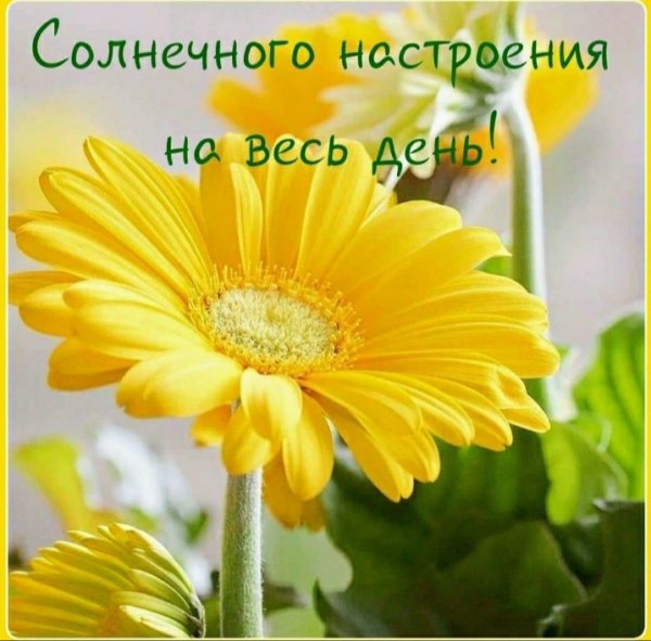 Солнечногоднч и хорошего настроения