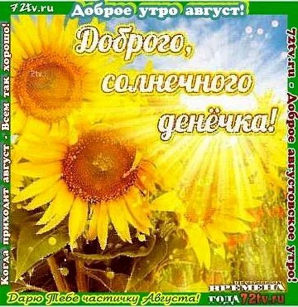 Доброго солнечного дня
