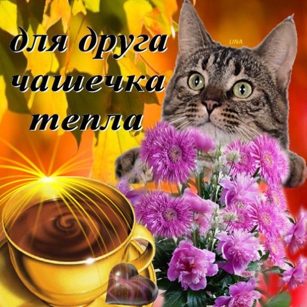 Душевного тепла и хорошего настроения