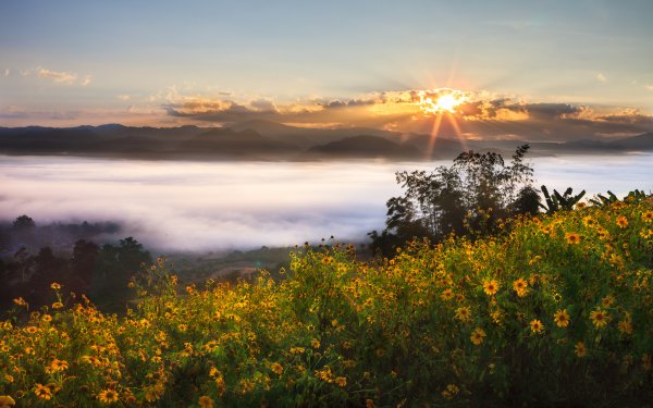 Солнце пляж