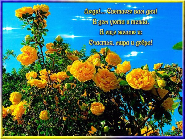 Пусть на душебулет тепло