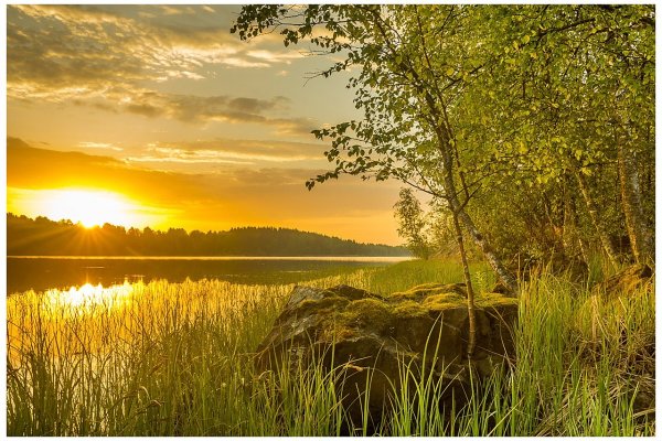 Раннее летнее утро