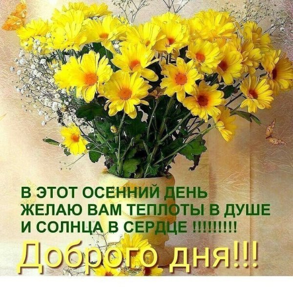 Солнышко на ладошке