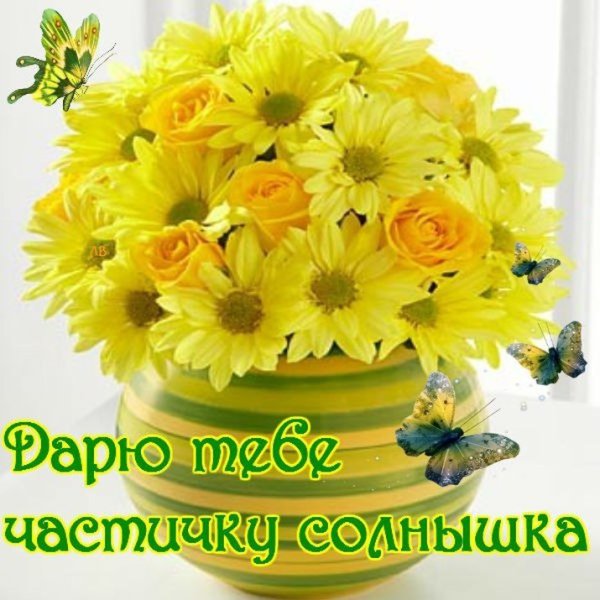 Солнце счастье в ладошках